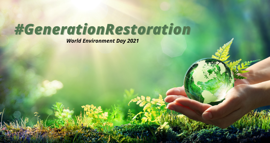 United Nations Environment Programme 2021